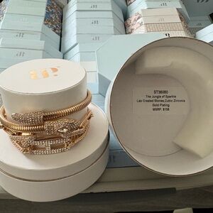 The Jungle of Sparkle